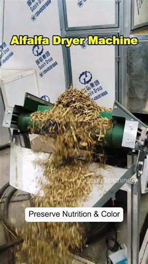 Alfalfa Drying Tips | Keep Green & Retain Nutrition