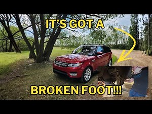 Range Rover Rear Wheel Bearing Replacement | MOST DETAILED GUIDE!!!