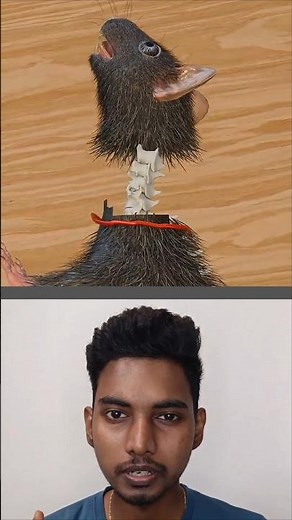 The Mouse Head Transplant Experiment 🐭