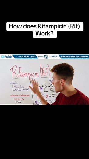 Understanding Rifampicin: Mechanism & Use in Tuberculosis