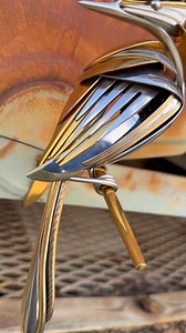 8.8K views · 206 reactions | Flock Release Friday. 10am est. 30 birds www.airtightartwork.com | Airtight Artwork | Facebook