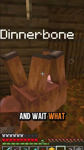 I Tested the Dinnerbone Myth in Minecraft 😳