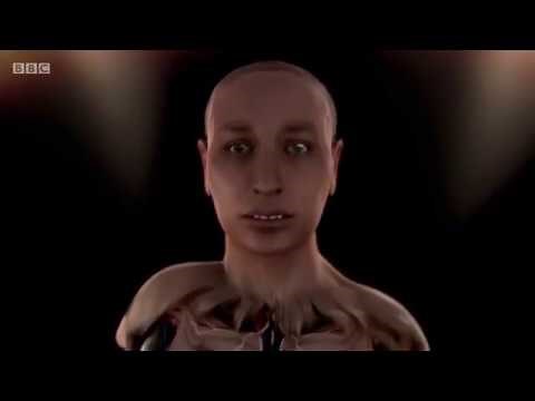 Tutankhamun's Reconstruction