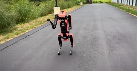 Watch: Spot nails a septuple backflip into a post