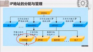 微课：认识IP地址