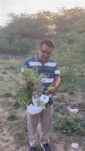 पार्क में करी हमने आयुर्वेदिक जड़ीबूटियो की खोज 😮🌿 #ayurvedic #jadibooti #plants #ytshorts