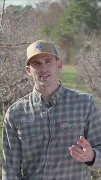 CEMA 216 Indicators: Bioavailable Nitrogen (ACE Protein Method)