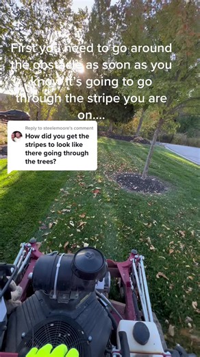 Replying to @steelemoore tree striping 101 on the second cut to disperse leaves #stripegod#stlouis#mowing#professional#satisfying#tipsandtricks#landscaping#rich#