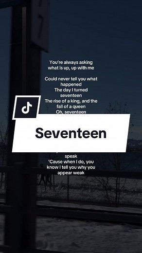 Seventeen - MARINA: A Musical Journey of Youth