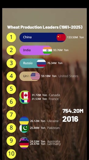 Global Wheat Production Leaders🌾