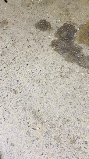 Team horse valencia🔥#moto #horse #empire #ek #valencia #motopiruetaslanuevaescuela