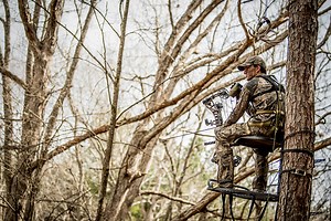 Reasons CWD Outbreaks Are Devastating Deer Hunting Opportunities - Petersen's Hunting