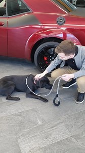 Extreme Dodge Chrysler Jeep Ram on Reels