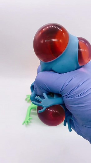 Funky Fidgets Shop 𝙻𝚃𝙳 ᵗᵐ (@funkyfidgetsshop)’s videos with Grumpy - David Weinstone/Music For Aardvarks and other Mammals