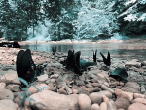 3.4K views · 285 reactions | listen | Josh Stewart | Facebook