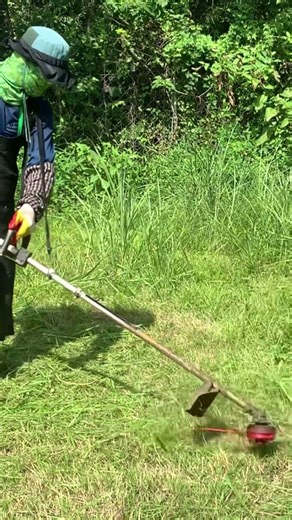 산소에서 예초기 작업.#풀 #잔디 #벌초 #예초기 #줄날 #칼날 #ZENOAH #BK4302 #automobile #줄다리기 #farming #lawncare #satisfying