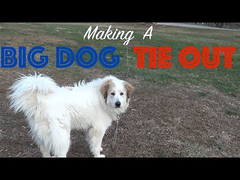Making A big dog tie out stake