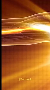 835K views · 10K reactions | Human body vs sun heat producing #science #sciencefacts #human #humanbody #humanbodyfacts | Facts Too | Facebook