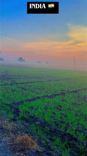 #trending #song #indian #india #shortvideo #shorts