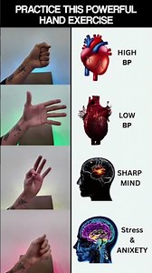 High BP? Low BP? Stress & Anxiety? 🧠✨ Try These Simple Hand Exercises