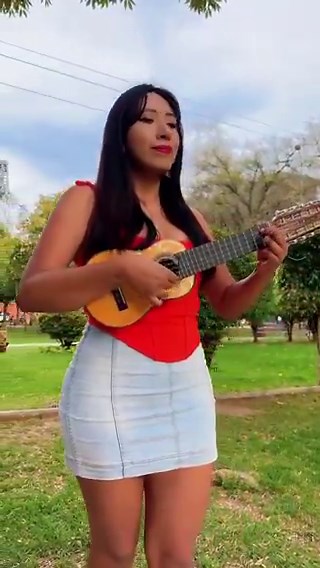 The charango! A small Andean stringed instrument from the Quechua and Aymara populations of the Altiplano.