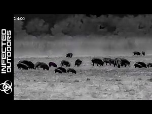 43 Hogs Down in One NIGHT | HOG HUNTING with THERMAL NIGHT VISION