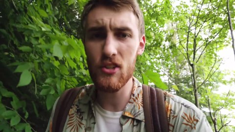 Why rainforests exist outside the tropics