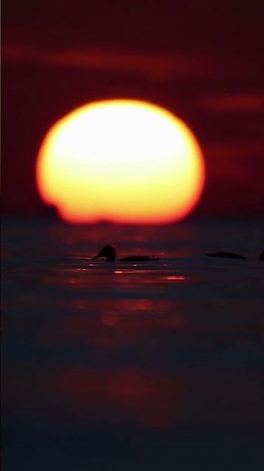 5-Minute Meditation to Unwind & Reset After a Stressful Week