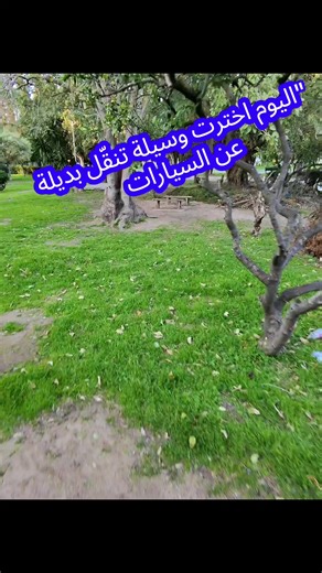 Alternative Transportation: Electric Scooters for everyone