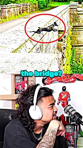 Dogs Keep Jumping Off This Bridge to Their Death 🤯