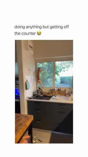 When you tell them to get off the counter… but the floor is literally lava. 🔥🐱 #CatLogic #ParkourKitty #ChaosMode #eyebleach