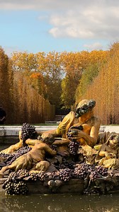 🇫🇷👋🏻 Bacchus vous souhaite une bonne semaine ! 🍇 Venez donc saluer le dieu de l’Automne lors de votre visite des Jardins du Château de Versailles. 🍃 Les Jardins sont ouverts du mardi au dimanche à l’occasion des Jardins Musicaux. 🎟 Informations & réservations sur www.chateauversailles-spectacles.fr — 🌎👋🏻 Bacchus wishes you a pleasant week! 🍇 Come and pay homage to the god of autumn during your visit to the Gardens of the Palace of Versailles. 🍃 The Gardens are open tuesday until sund