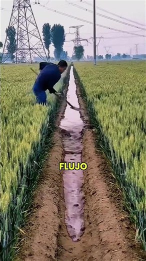 This Is How Chinese Farmers Irrigate Their Fields