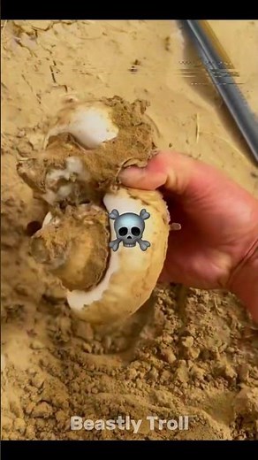 Best Underwater Finds💀🌊