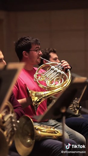 The iconic horn solo from Tchaikovsky’s 5th symphony. Wait for it. #classicalmusic #classicaltok #frenchhorn #frenchhornplayer #frenchhornist