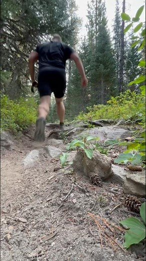 Trail running near MT Adams