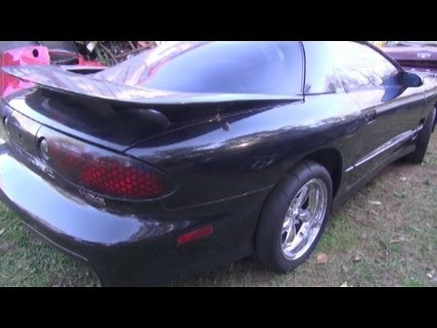 TRANS AM - ALIVE or DEAD??