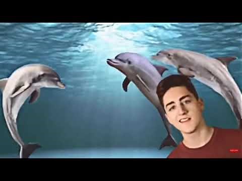 Help let me go 1 hour long Danny Gonzalez