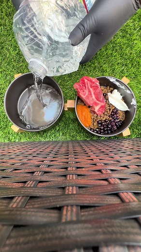 Nutritious Diet for American Bully Puppy