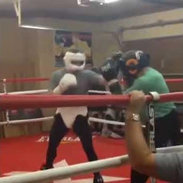 CANELO ALVAREZ ALMOST DROPS SPARRING PARTNER BRUTAL COUNTERPUNCH