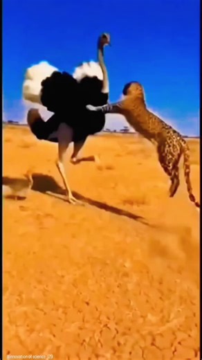 sci tech | historygg on Instagram: "👉Follow For More Updates Japan is turning footsteps into electricity using piezoelectric tiles. Every step creates a small amount of energy, and millions of steps together power LED lights and digital systems-supporting a more sustainable urban future Once you reach this velocity, you’re no longer traveling on land, you’re traveling at the speed of sound This simulation is a visualization of what it would be like to travel on a supersonic railway in Japan at 