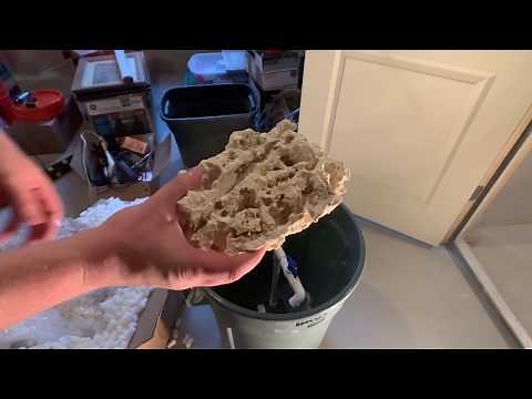HOW TO Cure Dry Live Rock