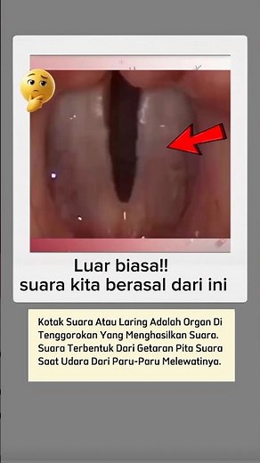 Tenyata begini rupa kotak suara kita... 😯😲