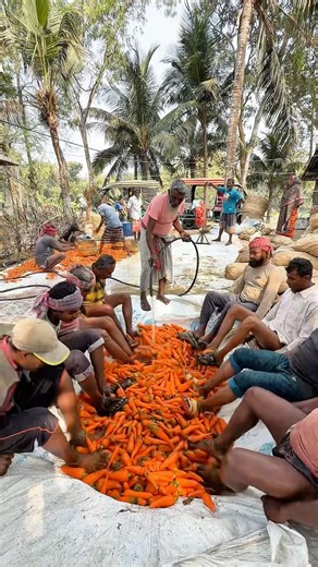 Village Style Carrot Cleaning Technique | Amazing Efficiency #viral #short #yt