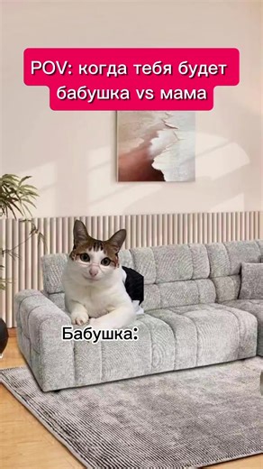 Exploring the History of Cats: Fun Facts and Moments