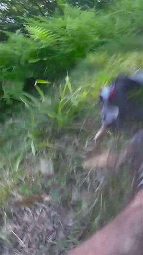 POV: Epic 20-Foot Drop FAILS & Finally NAILING It!