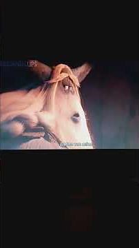 "Toontopia" Part 17 - Help From Lulu