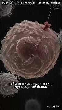 All SCP-001: Defense Mechanism