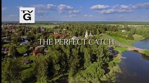 The Perfect Catch (2017)