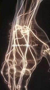 🥱🫩Why You Feel Useless After Waking Up — The Science of Sleep Inertia🔎🧪😩